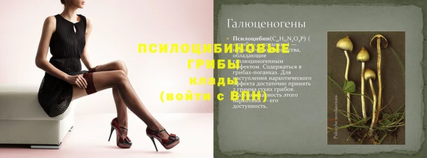 шишки Алзамай