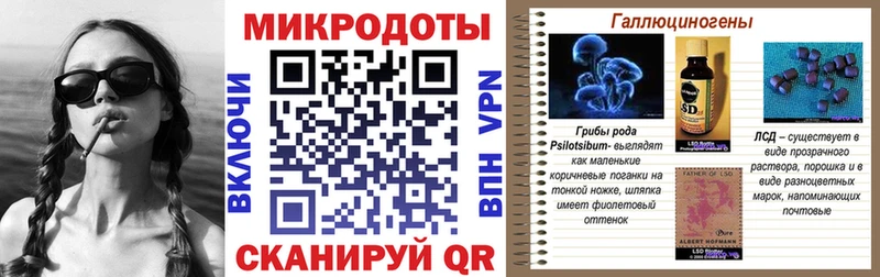 Псилоцибиновые грибы мухоморы Лахденпохья
